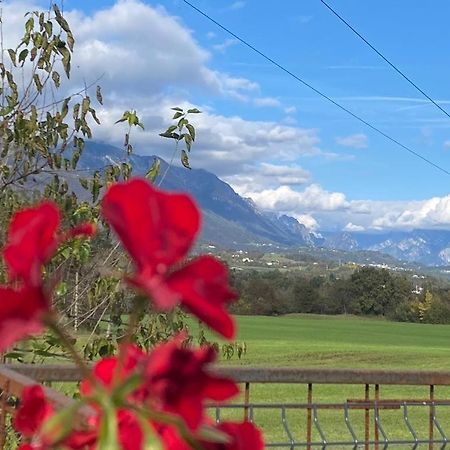 Il Mondo Roverso Feltre Eksteriør bilde