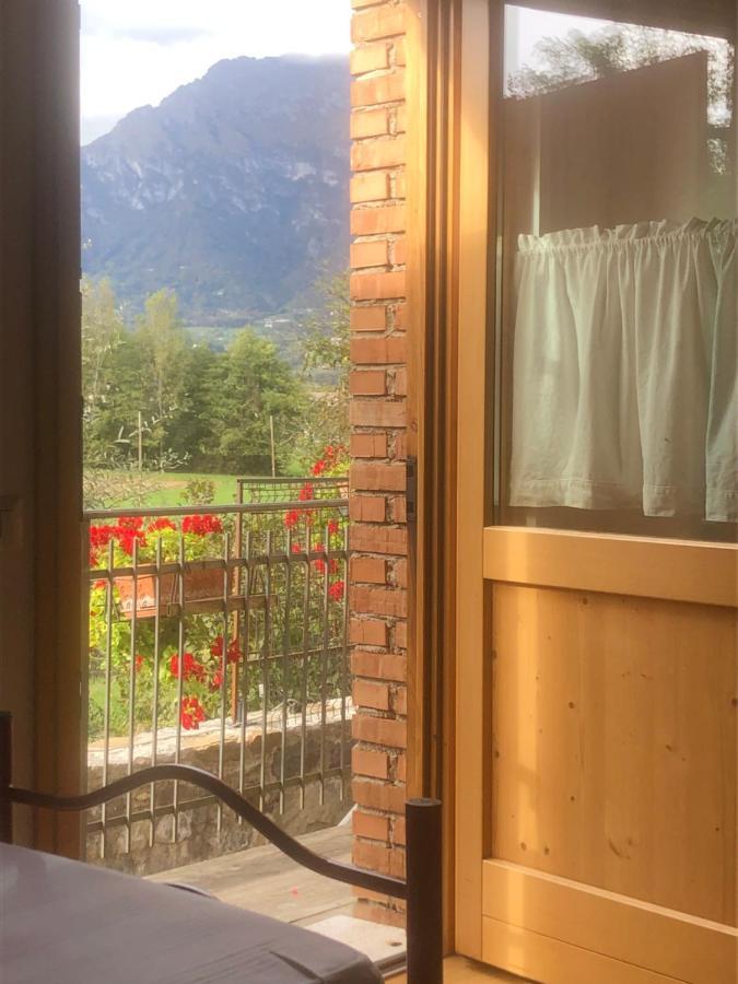 Il Mondo Roverso Feltre Eksteriør bilde